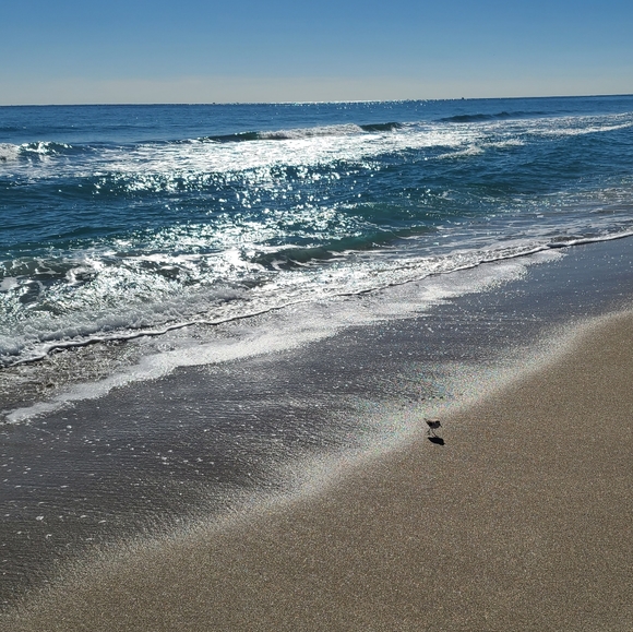 Meet your Posher, Mj - Picture 7 of 8